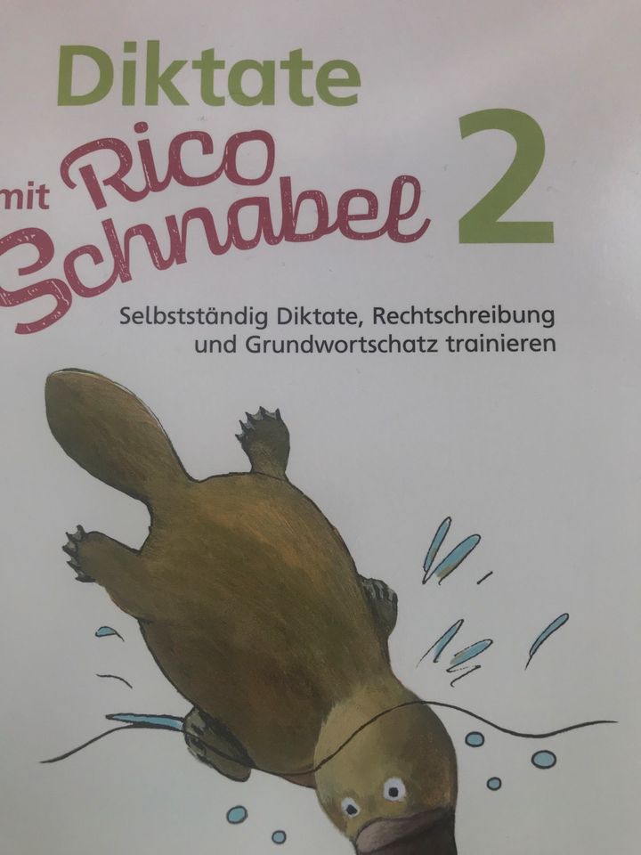 Diktate mit Rico Schnabel 2 Rechtschreibtraining Grundschule in Kisdorf