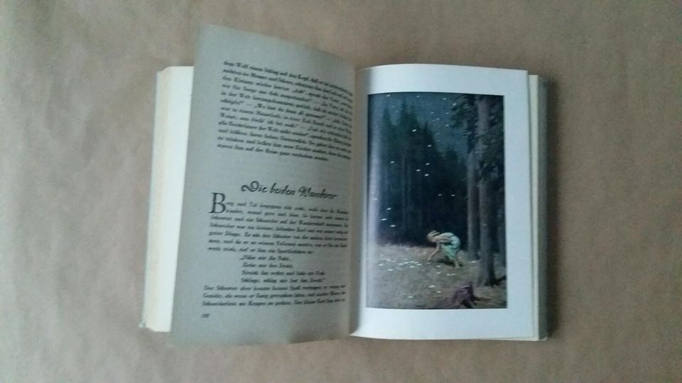 DIE SCHÖNSTEN KINDERMÄRCHEN DER BRÜDER GRIMM  Buch alt Sammler in Weil am Rhein