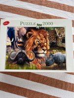 Puzzle 2000 Teile Löwe Wildtiere Safari Afrika  (1x gepuzzelt) Nordrhein-Westfalen - Windeck Vorschau