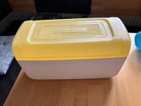 Tupperware Toast Box Max gelb Bayern - Thierstein Vorschau