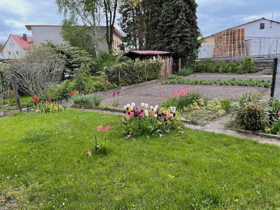 Preiswertes Einfamilienhaus mit Nutzgarten und Nebengebäuden vor den Toren Leipzigs - Tierhaltung möglich! in Rötha