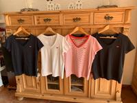 LEVIS Tshirts Shirt S+M ❤️ je 8€ Hessen - Eltville Vorschau