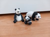 Schleich Pandas Schleswig-Holstein - Rendsburg Vorschau