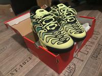 Nike air Max tn plus Drift Sachsen - Bischofswerda Vorschau