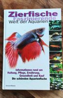 Zierfische - Faszinierende Welt der Aquarien Buch Brandenburg - Großbeeren Vorschau