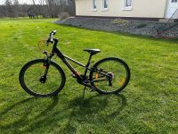 Fahrrad  kaum gebraucht Güstrow - Landkreis - Steinhagen in MV Vorschau