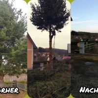 Baumfällung, Gartenarbeit usw. Bayern - Schwarzenfeld Vorschau