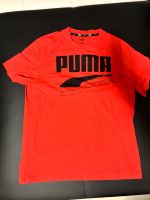 Herren T-Shirt Puma XL Nordrhein-Westfalen - Schleiden Vorschau