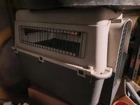 Hundebesitzer XXL 90x65x65cm Sachsen - Tharandt Vorschau