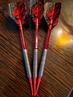 Bulls Soft Darts 16g mit 3 Extra Flights und Shafts Rheinland-Pfalz - Gusenburg Vorschau