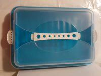 Kuchen Transport Box Küchenbutler gebraucht blau 41 cm lang Sachsen - Radeburg Vorschau