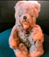 Alter Teddybär mit Glocke Schleswig-Holstein - Norderstedt Vorschau