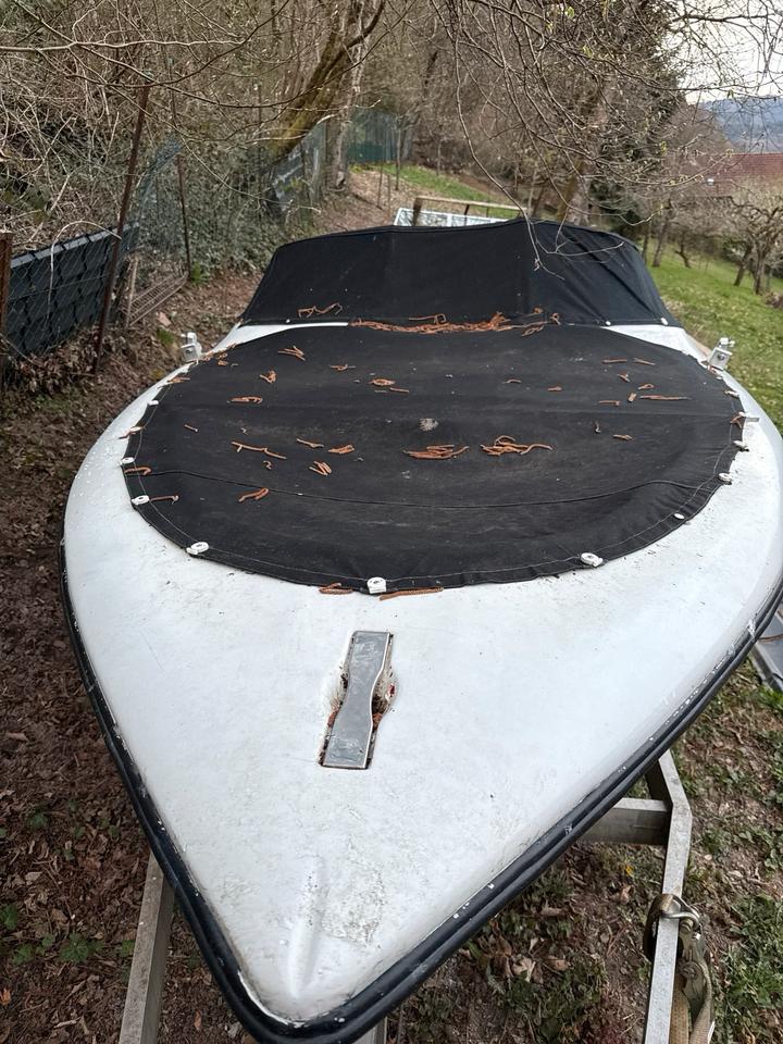 Sportboot Motorboot Tullio Abbate Seastar Alu Trailer BMW Motor in Hirschhorn (Neckar)