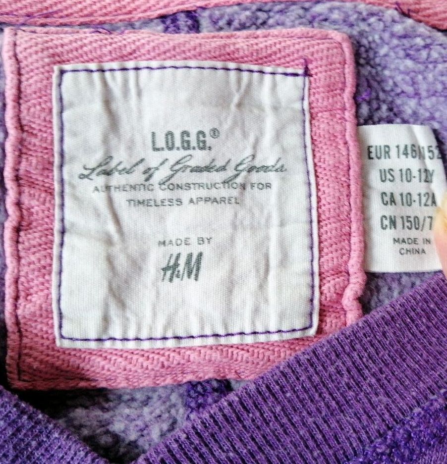 2 Sweatshirts Gr. 146/152 von H&M in Waiblingen