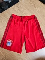 Fc Bayern München Shorts rot 152 Adidas kurze Hose Niedersachsen - Seevetal Vorschau