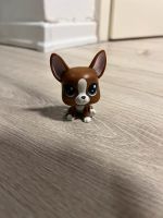 Hasbro Terrier Hund littlest pet shop Haustier glubschi augen Osterholz - Ellenerbrok-Schevemoor Vorschau