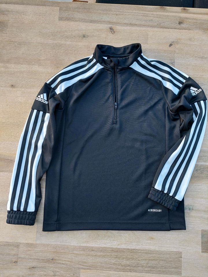 Adidas Trainingsanzug Squadra Gr 140 in Rückweiler