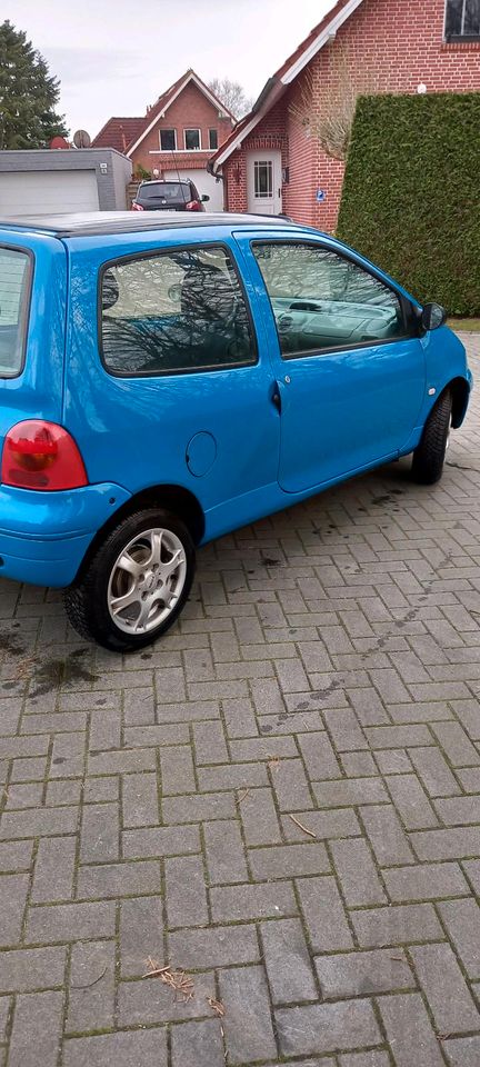 Renault Twingo in Moormerland