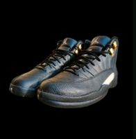 Jordan 12 The Master EU 41 US 8 1 3 4 5 6 7 9 XI Bayern - Bayreuth Vorschau