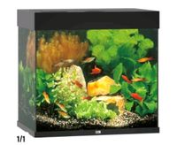 Aquarium 120l Leipzig - Liebertwolkwitz Vorschau