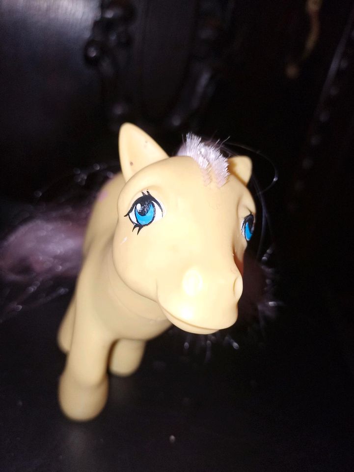 Mein kleines Pony Blümchen Posey in Braunschweig