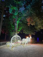 Cinderella Kutsche Deko Pferd Brandenburg - Beelitz Vorschau