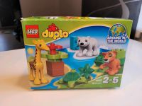 Lego Duplo 10801 Jungtiere Dresden - Coschütz/Gittersee Vorschau