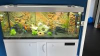 Aquarium mit Unterschrank inklusive Zubehör Schleswig-Holstein - Seth Holstein Vorschau