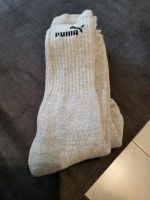 Tennissocken Puma 2 Paar Rheinland-Pfalz - Ochtendung Vorschau