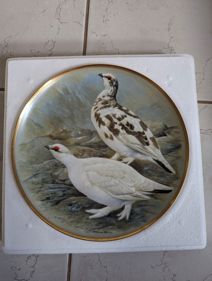 Sammelteller Porzellan Franklin Porcelain Gamebirds of the World in Marschacht