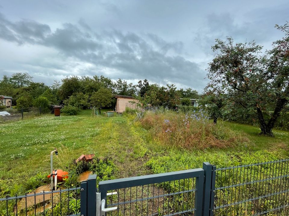 Kleingarten Alt Puppendorf; Pacht; KGV; Garten in SachsenAnhalt