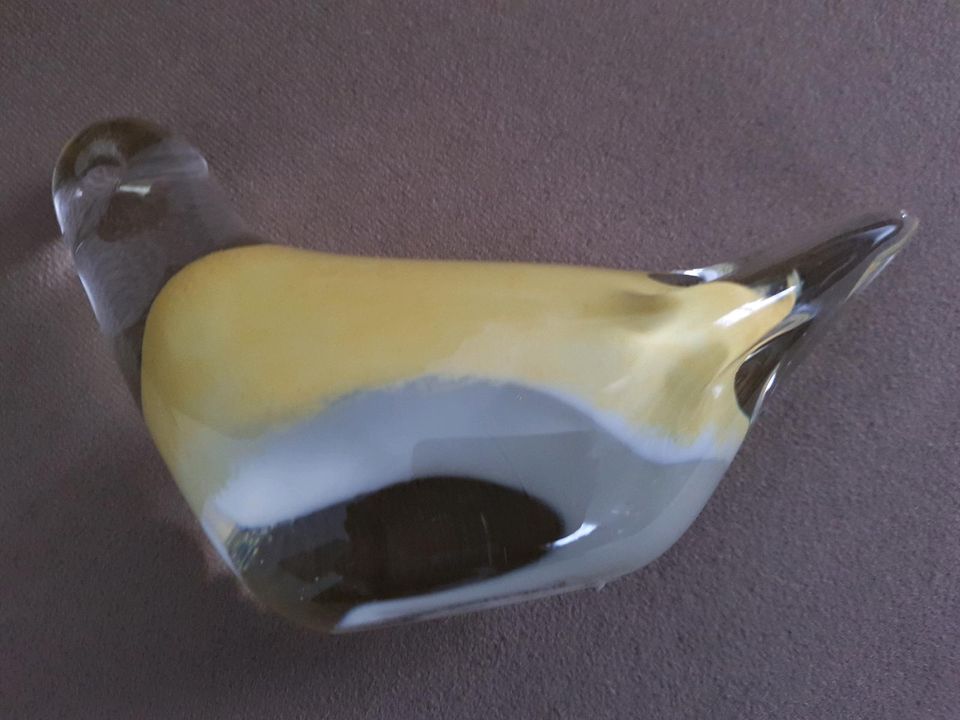 Glasvogel Leonardo gelb yellow Tweety in Windischeschenbach