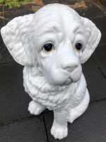 Bernhardiner / Hunde Porzellanfigur Köln - Zollstock Vorschau