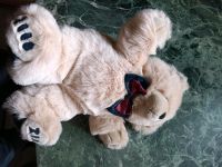 2000er Teddybär Niedersachsen - Asendorf (bei Bruchhausen-Vilsen) Vorschau