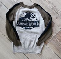 Pullover Jurassic World Gr. 116 Frankfurt am Main - Bergen-Enkheim Vorschau