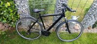 Cyclewolf Trekkingrad Crossrad Fahrrad Mecklenburg-Vorpommern - Anklam Vorschau