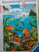 Ravensburger Puzzle, 1000 Teile,Aquarium,Fische,sea world,155279 Bayern - Memmingen Vorschau