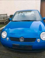 VW Lupo 1.0 College (Bastelfahrzeug) Nordrhein-Westfalen - Blomberg Vorschau