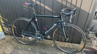 Rennrad Cucuma Luar 55 er Rahmen - Shimano Ultegra - Aksium Race Rheinland-Pfalz - Mainz Vorschau