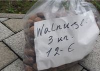 Walnüsse Walnuss Bio, 3kg Baden-Württemberg - Erbach Vorschau
