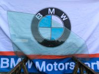 BMW E39 original Seitenscheibe vorne rechts Beifahrer Tür Hessen - Merenberg Vorschau