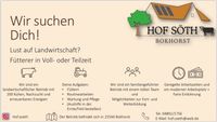 Fütterer in der Landwirtschaft gesucht Schleswig-Holstein - Bokhorst Vorschau