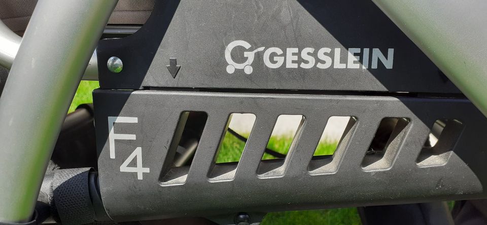 Gesslein F4 Kombi Kinderwagen/Buggy sehr gut erhalten, viel Zubeh in Burglengenfeld