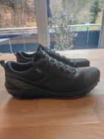 Herren Schuhe Ecco Biom 45 Baden-Württemberg - Durbach Vorschau