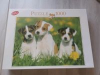 1000 Teile Puzzle Jack Russel Welpen Hessen - Hochheim am Main Vorschau