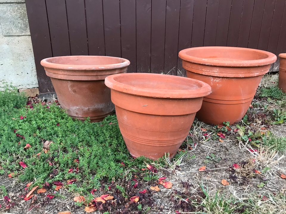 tip top: Gartenübertöpfe Blau, Terracotta, Pflanzschalen u. -korb in Schellerten