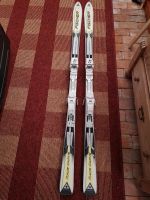 Alpin Ski, Fischer Race Carver,1.78m Schleswig-Holstein - Achtrup Vorschau