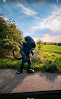 Alien xenomorph kostüm Handgefertigt Hessen - Mörfelden-Walldorf Vorschau