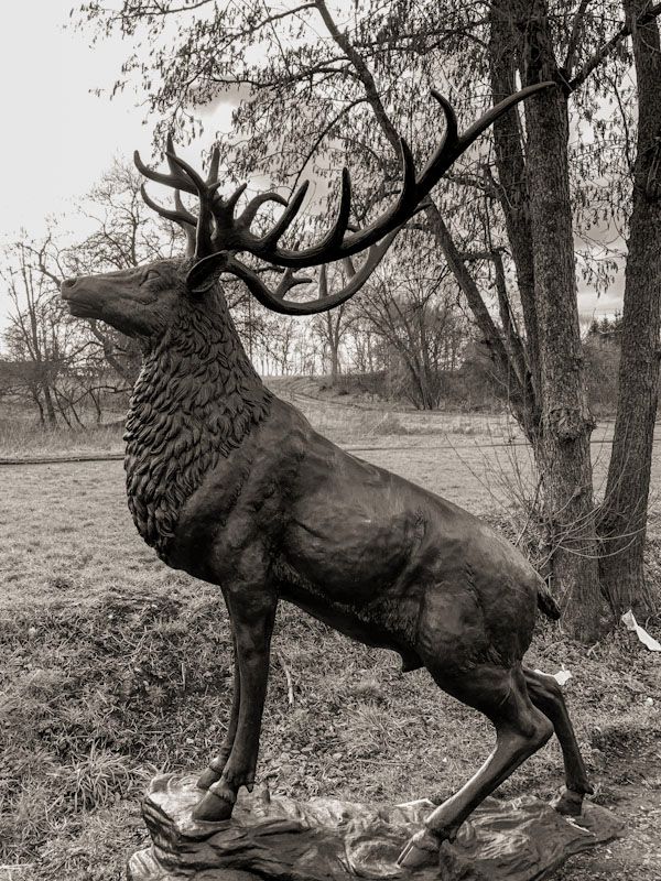 IMPOSANTE LEBENSGROSSE HIRSCHSKULPTUR FÜR IHREN GARTEN in Starnberg