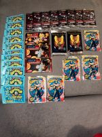 Karten Sticker Magnet Dragonball Megaman Beyblade Superhuman Neumünster - Wapelfeld Vorschau